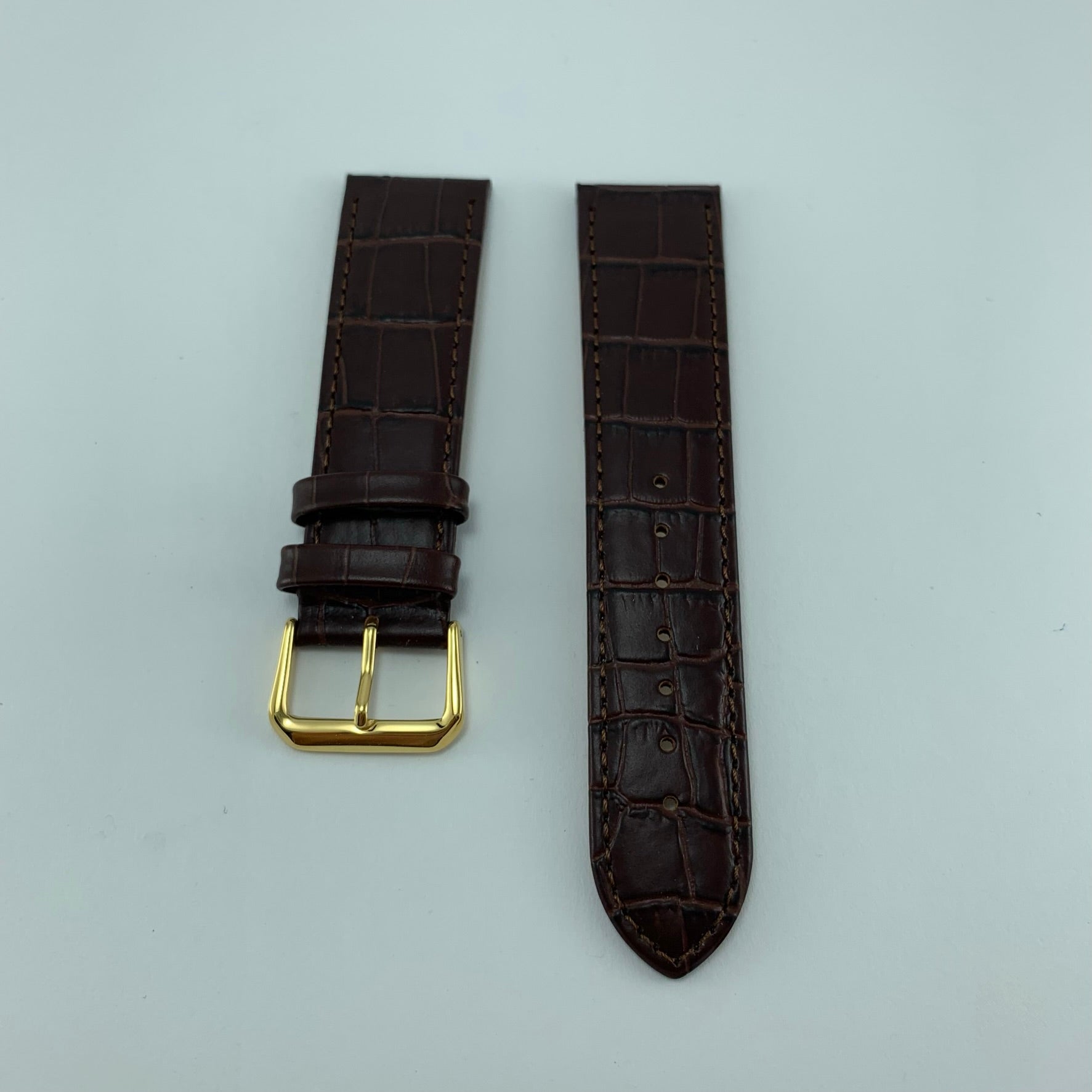 Correa Piel Cafe 209 22mm