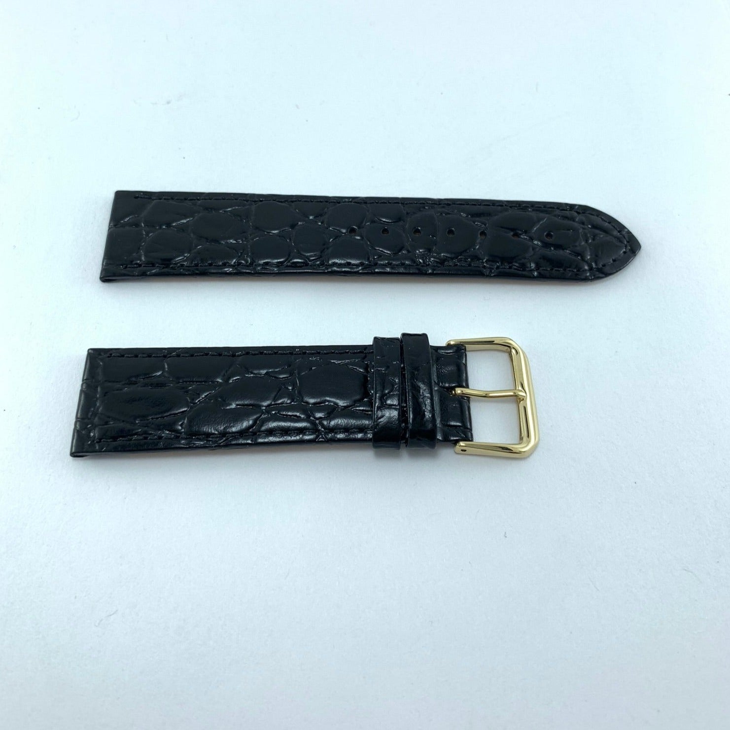 Correa Piel Negro 209 22mm